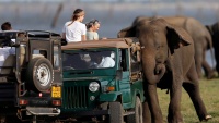Jedan divlji slon gura automobil s turistima na Šrilanci
