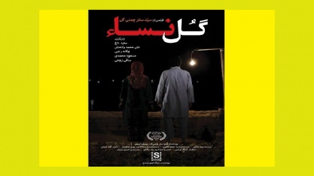 گوڵ نسا لە فێستیڤاڵی میدلبۆری ئەمریکا نمایش دەکرێت