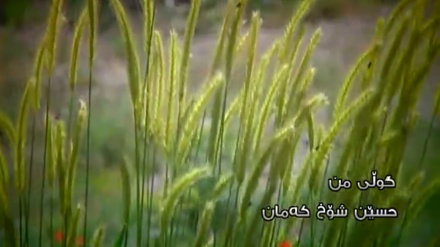 گۆرانیێکی خۆش بە دەنگی حسێن شۆخ کەمان له بەرنامەی هۆرەی هەواران