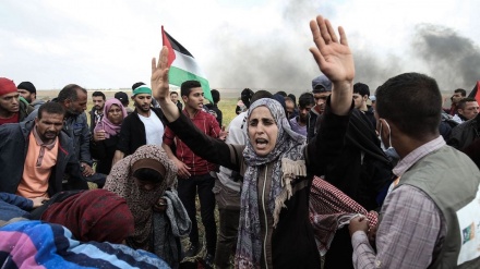  50 filistîn li encama êrişa siyonîstan ser meşqa deryayî, 50 kes birîndar bûn