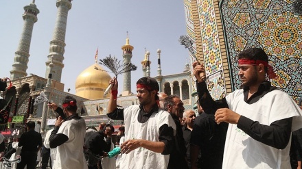 معصومہ قم کے روضے میں شہدائے کربلا کا ماتم