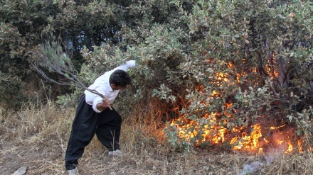 ۴۰ دۆنم لە لەوەڕگەکانی مەریوان سووتا