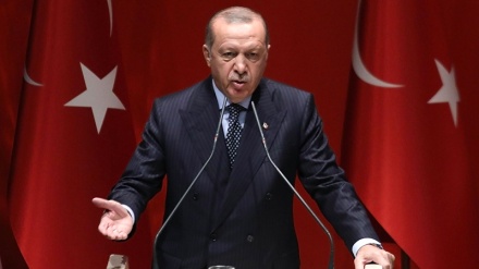  Qeyrana aborî li Tirkiyê