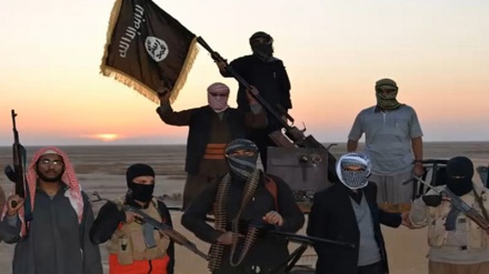  ئەندامێکی هەواڵگریی داعش : دەزگەی هەواڵگریی تورکیا هەموو کارەکانی ڕێک دەخست و ئاسانکاری بۆ دەکردین