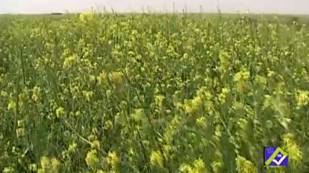 گۆرانیێکی خۆش له بەرنامەی ساباتی سۆز