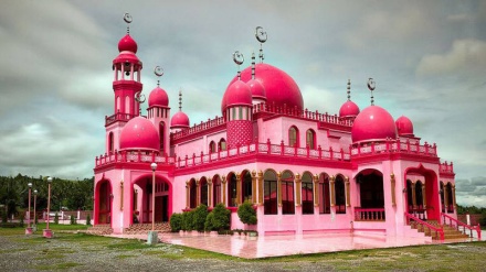 دنیا کی واحد گلابی مسجد ۔ تصاویر