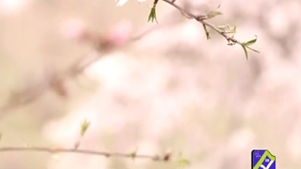 گۆرانیێکی خۆش له بەرنامەی ساباتی سۆز