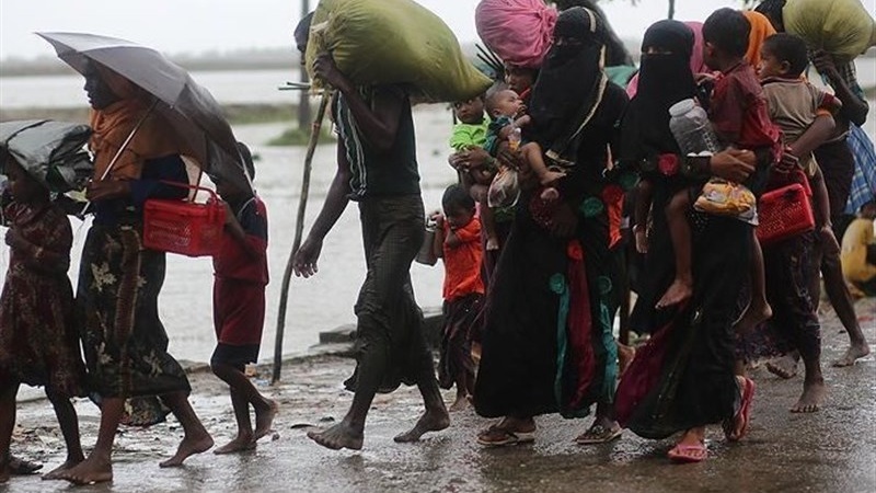 عالمی برادری روہنگیا مسلمانوں کی واپسی کیلئے میانمار پر دباؤ ڈالے، بنگلہ دیشی وزیر اعظم   