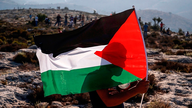 فلسطینیوں سے یکجہتی کا عالمی دن