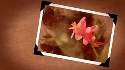 گۆرانیێکی خۆش بە ناوی دیاری یاران له بەرنامەی ساباتی سۆز