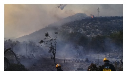 Požar kod Orebića, evakuisano 35 ljudi