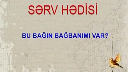 SƏRV HƏDİSİ  - 17-09-2018