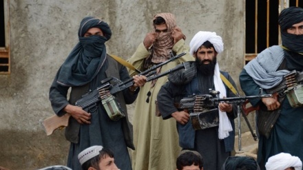 افغانستان میں متعدد طالبان ہلاک
