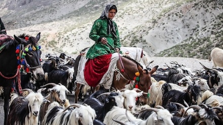 ژیانی خێڵەکانی چوارمەحاڵ و بەختیاری