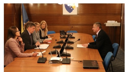 Vigemark i Petrić razgovarali o procesu utvrđivanja rezultata opštih izbora u BiH