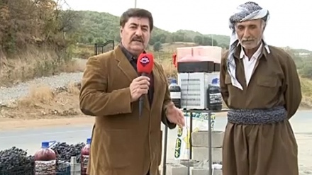 سەردەشت - دروست کردنی مێوژاو  