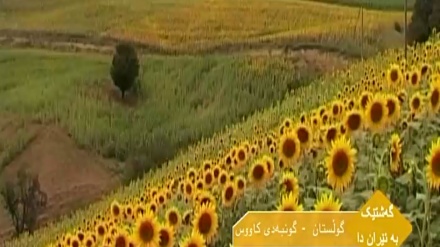 گەشتێک بە ئێران دا- گوڵستان-گونبەدی کاووس