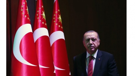 Erdogan: Turskoj bi odgovarao referendum o pristupanju EU