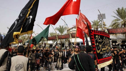 İraqda Ərbəin zəvvarlarını hədəfə almaq istəyən terrorçu zərərsizləşdirildi