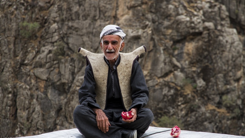 Hilberîna hinarê li Hewramana Kurdistanê