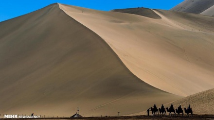 بەڵگه فیلمی ڕێگەی زێڕین