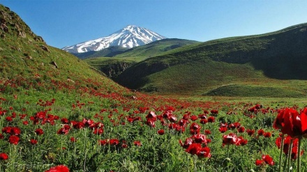 وێنە نەبینراوەکانی شاخی دەماوەند