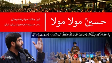 حسینؑ مولا مولا | Farsi sub Urdu