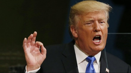 Tramp mühacirlərə divan tutulmasına dəstək verib