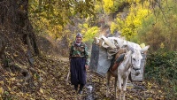 Jesenji pejzaž, Kurdistan