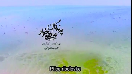 Ptice ribolovke (06.dio)	