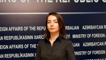 L.Abdullayeva qərb dövlətlərinin Ermənistana status vədlərinin boş olduğunu deyib