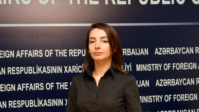 L.Abdullayeva qərb dövlətlərinin Ermənistana status vədlərinin boş olduğunu deyib