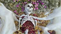 Model kostura na ceremoniji Dana mrtvih u Kaliforniji