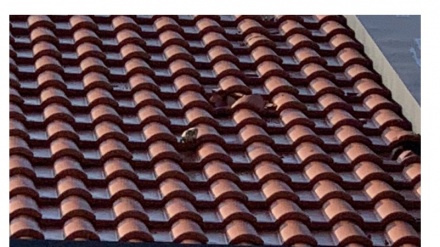 U Neumu kamenovana kuća Đemile Talić- Gabriel