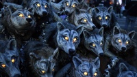 Učesnici izložbe Halloween odjeveni u vuka u Irskoj