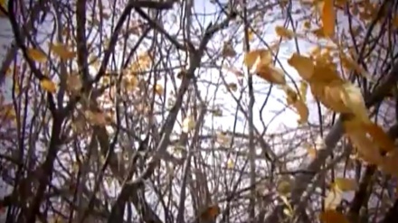 گۆرانیێکی خۆش بە ناوی بیرەوەری لە بەرنامەی ساباتی سۆز