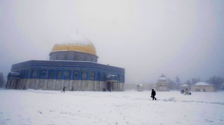 قدس میں برفباری کے مناظر ۔ ویڈیو