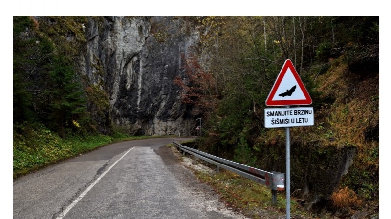 Prvi u svijetu: Kod Vareša postavljen znak opasnosti koji upozorava na šišmiše
