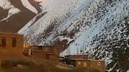 وێنەی بینەرانی سەحەر