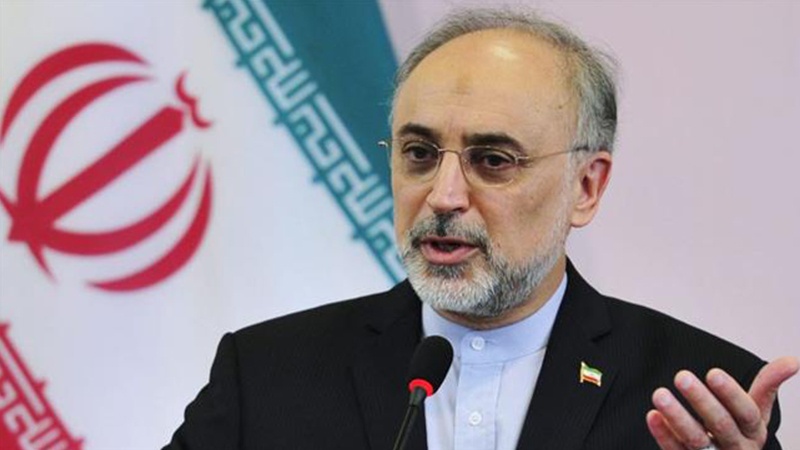 ایران اور ایٹمی ٹیکنالوجی ، ایٹمی انرجی کے ادارے کے سربراہ کا بیان 