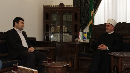 Reisu-l-ulema primio direktora Naučnoistraživačkoga instituta 'Ibn Sina' u Sarajevu
