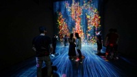 Obilazak izložbe interaktivnih umjetničkih djela u Singapuru
