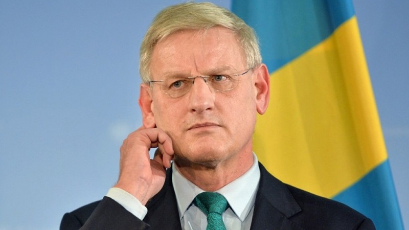 Karl Bildt: Əgər Amerikadan silah alsanız, istədiyiniz qədər adam öldürə bilərsiniz
