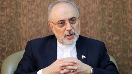 وشداری دانی ساڵحی بە ڕۆژئاوا، پیتاندنی لەسەدا بیست بابەتێکی دوورەدەست نییە