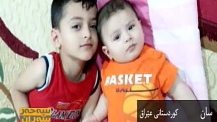 ئەلبۆمی وێنەی بینــەران