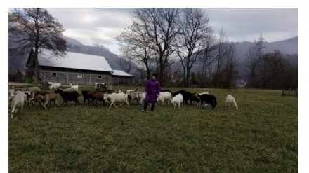 Kozarstvo je šansa za razvoj u planinskim selima, ali nije za svakoga