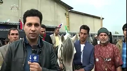 ہارس بیک مارشل آرٹ کے عالمی مقابلے