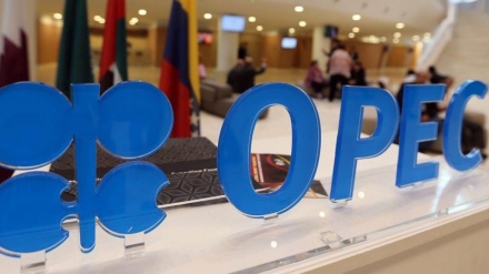 OPEC: Cijene nafte skaču za 5 odsto 