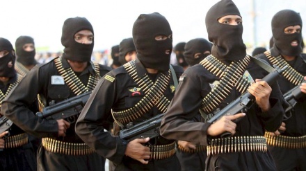 شام میں دہشتگردوں کی مدد پر تشویش 