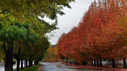 گوێ ڕادەگرین به گۆرانیێک به ناوی یادی یاران